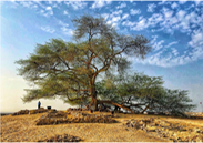 Captura de pantalla 2021-10-04 a las 0.01.31